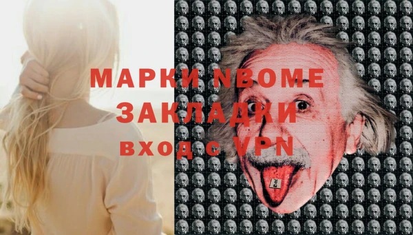 индика Богданович