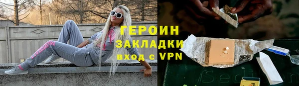 индика Богданович