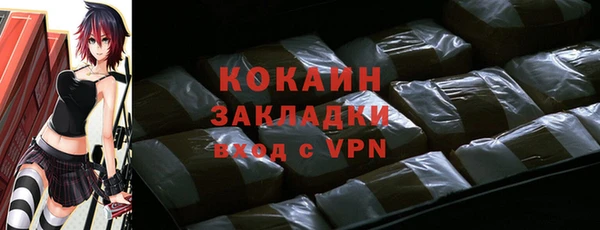 индика Богданович