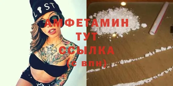 индика Богданович