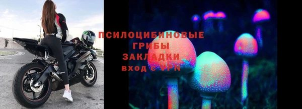 экстази Богородск