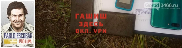 индика Богданович