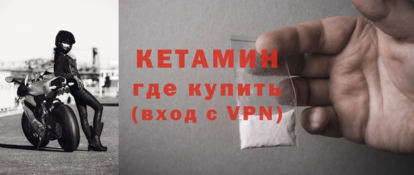индика Богданович