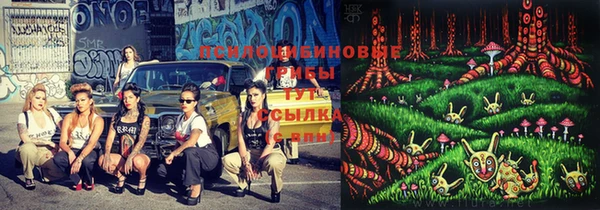 индика Богданович