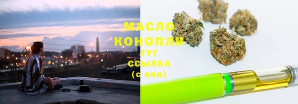 индика Богданович