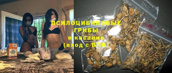 экстази Богородск