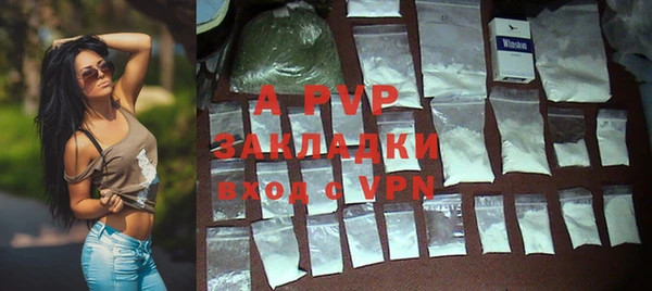индика Богданович