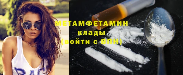 индика Богданович