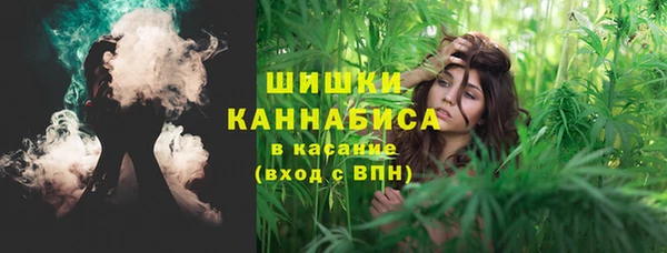 индика Богданович