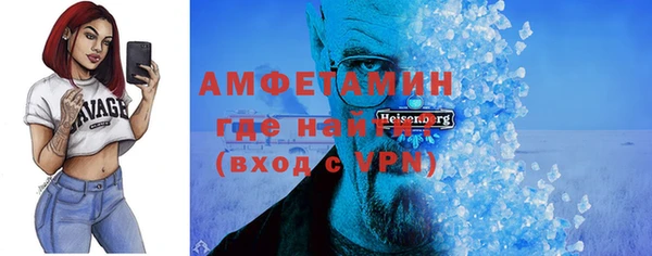 индика Богданович