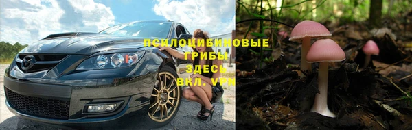 индика Богданович