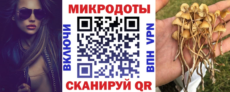 Псилоцибиновые грибы Magic Shrooms  Называевск 